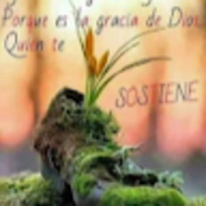 Meet your Posher, Sira